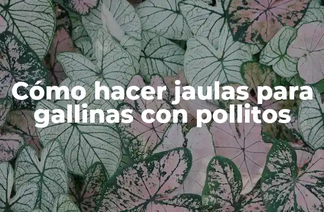 Cómo Hacer Jaulas para Gallinas con Pollitos