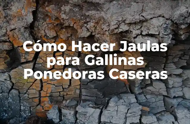 Cómo Hacer Jaulas para Gallinas Ponedoras Caseras
