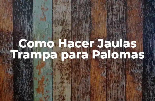 Como Hacer Jaulas Trampa para Palomas