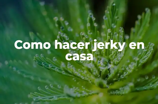 Como Hacer Jerky en Casa 2 ¿Qué es el jerky y para qué sirve?