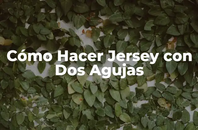 Cómo Hacer Jersey con Dos Agujas 2 Cómo Hacer Jersey con Dos Agujas