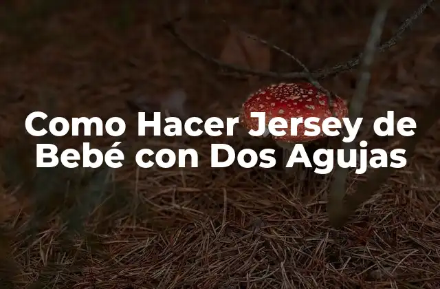 Como Hacer Jersey de Bebé con Dos Agujas