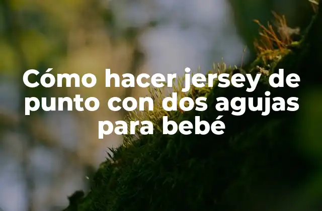 Cómo Hacer Jersey de Punto con Dos Agujas para Bebé