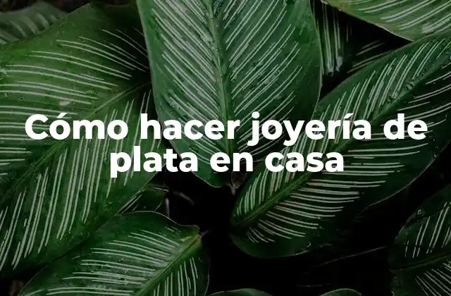 Cómo Hacer Joyería de Plata en Casa