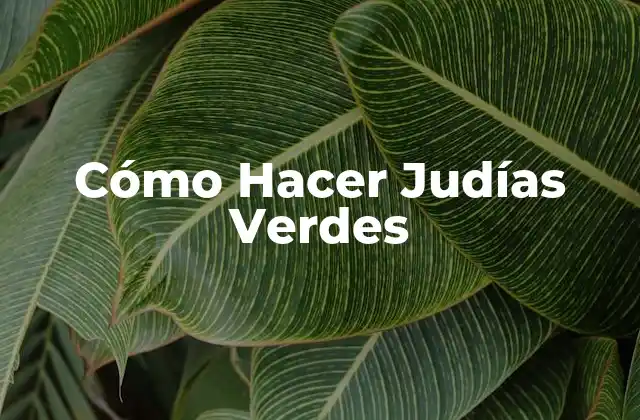¿Qué Son las Judías Verdes y Para Qué Sirven?