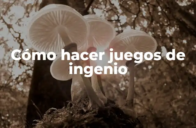 Cómo Hacer Juegos de Ingenio