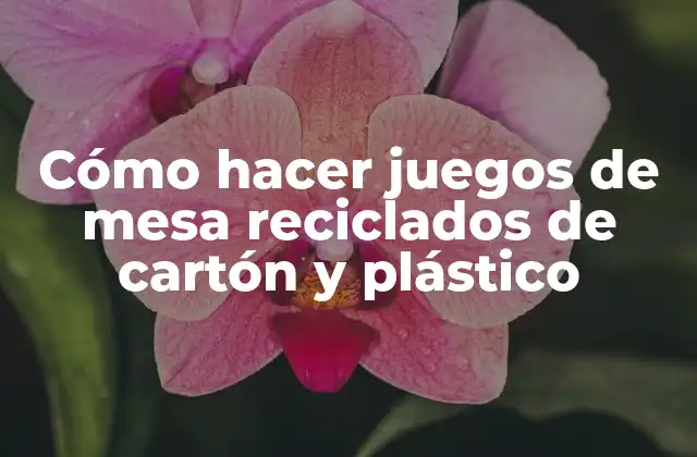 Cómo Hacer Juegos de Mesa Reciclados de Cartón y Plástico