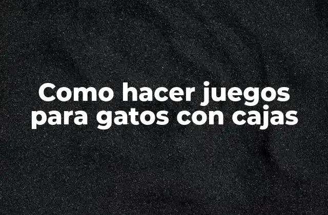 Como Hacer Juegos para Gatos con Cajas
