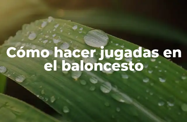 Cómo Hacer Jugadas en el Baloncesto