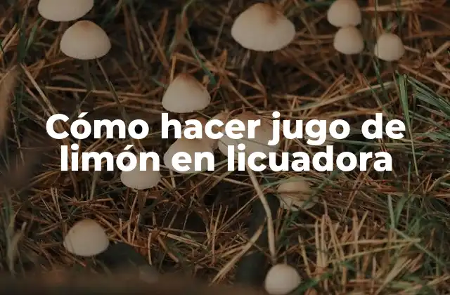 Cómo Hacer Jugo de Limón en Licuadora
