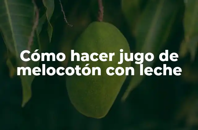 Cómo Hacer Jugo de Melocotón con Leche
