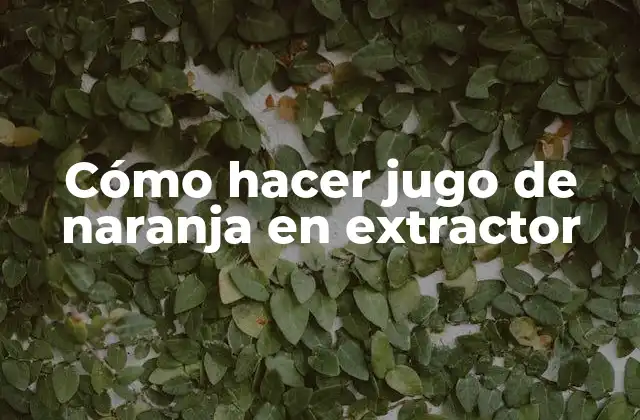 Cómo Hacer Jugo de Naranja en Extractor