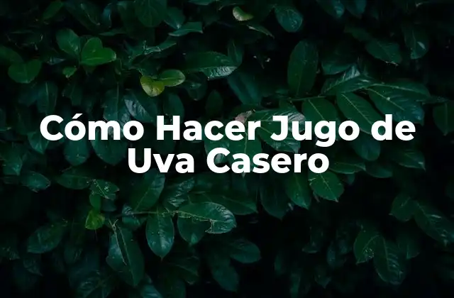 Cómo Hacer Jugo de Uva Casero