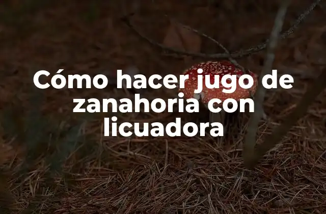 Cómo Hacer Jugo de Zanahoria con Licuadora