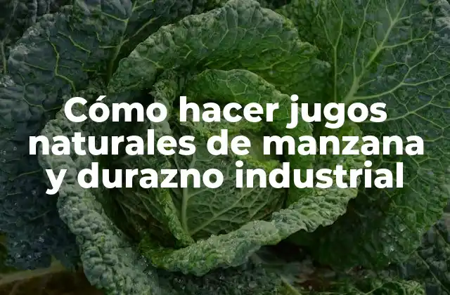 Cómo Hacer Jugos Naturales de Manzana y Durazno Industrial