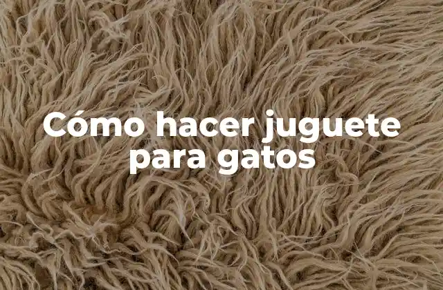 Cómo Hacer Juguete para Gatos