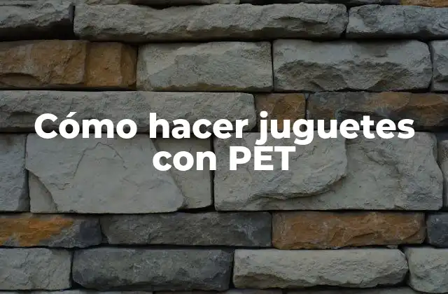 Cómo Hacer Juguetes con Pet