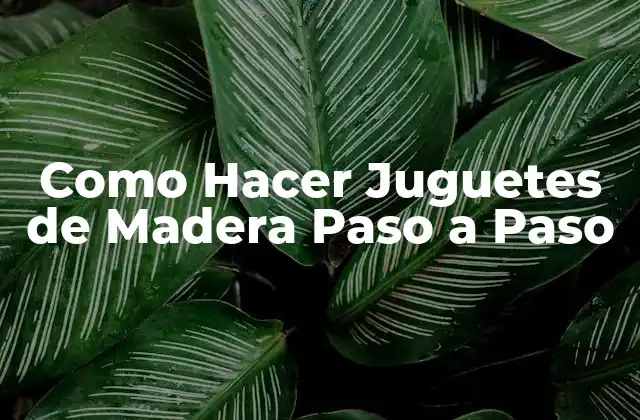 Como Hacer Juguetes de Madera Paso a Paso 2 ¿Qué son los Juguetes de Madera?