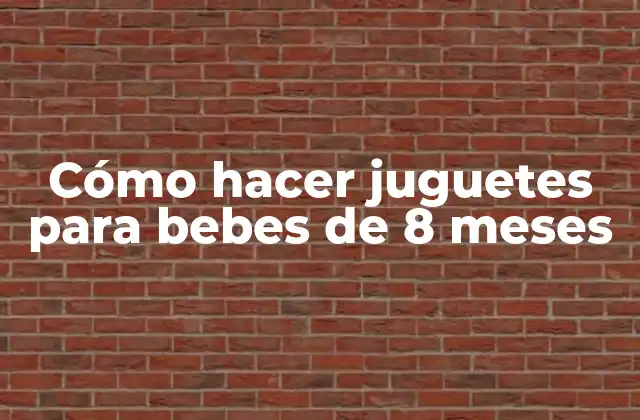 Cómo Hacer Juguetes para Bebes de 8 Meses