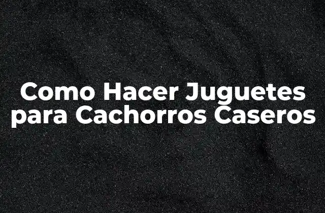 Como Hacer Juguetes para Cachorros Caseros 2 Como Hacer Juguetes para Cachorros Caseros: Concepto y Beneficios