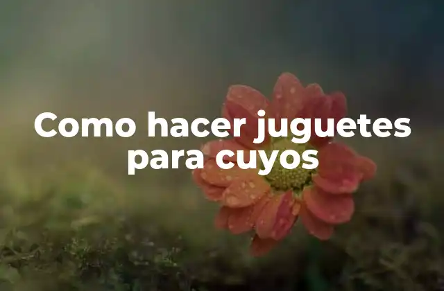 Como Hacer Juguetes para Cuyos