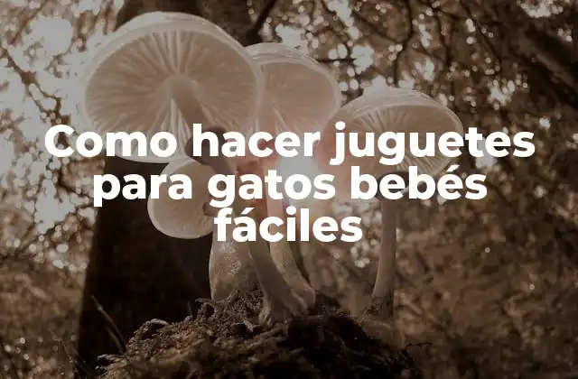 Como Hacer Juguetes para Gatos Bebés Fáciles