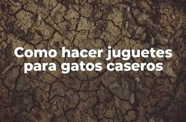 Como Hacer Juguetes para Gatos Caseros