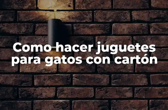 Como Hacer Juguetes para Gatos con Cartón