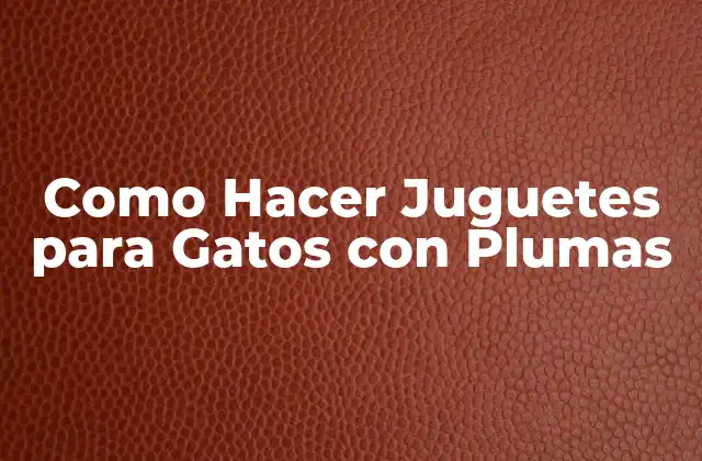 Como Hacer Juguetes para Gatos con Plumas