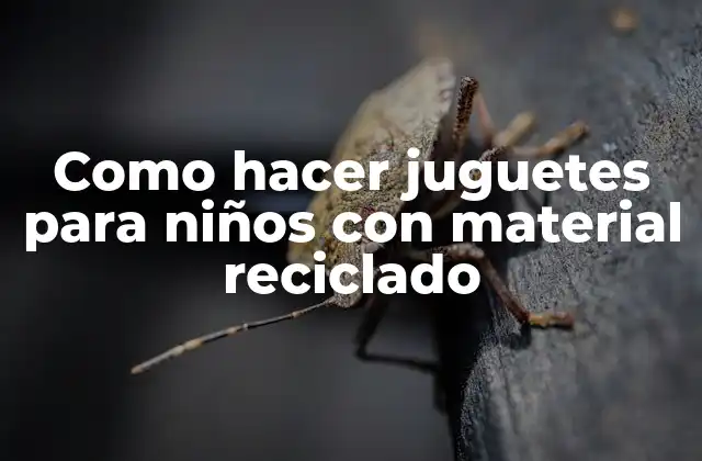 Como Hacer Juguetes para Niños con Material Reciclado