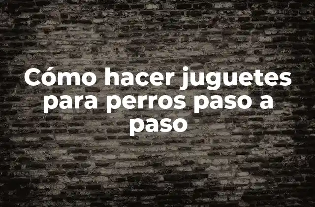 Cómo Hacer Juguetes para Perros Paso a Paso