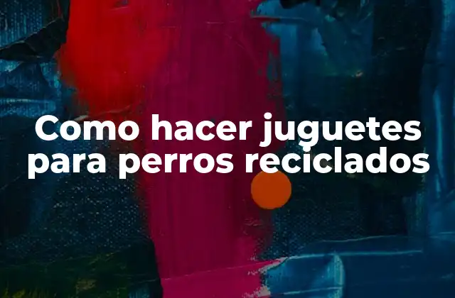 Como Hacer Juguetes para Perros Reciclados