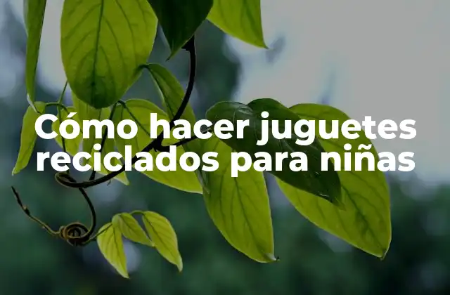 Cómo Hacer Juguetes Reciclados para Niñas