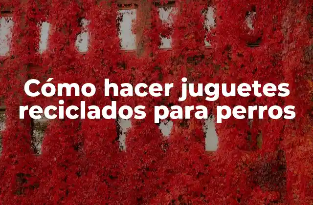 Cómo Hacer Juguetes Reciclados para Perros