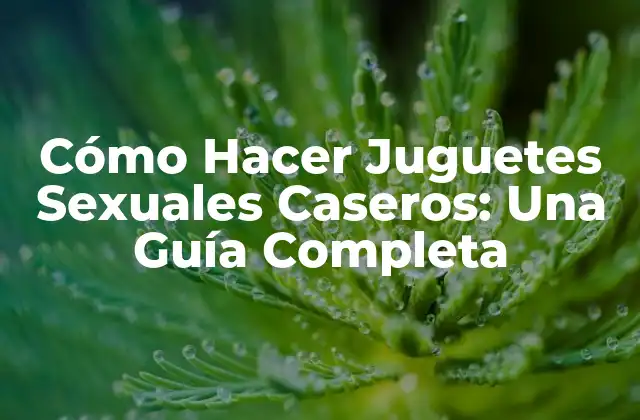 Cómo Hacer Juguetes Sexuales Caseros: una Guía Completa 2 Ventajas de los Juguetes Sexuales Caseros