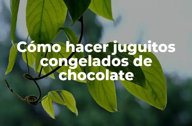 Cómo hacer juguitos congelados de chocolate
