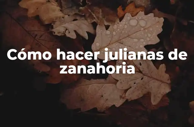 Cómo Hacer Julianas de Zanahoria