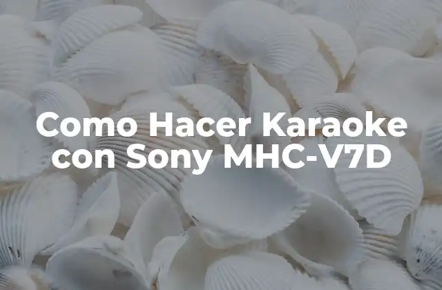 Como Hacer Karaoke con Sony Mhc-v7d