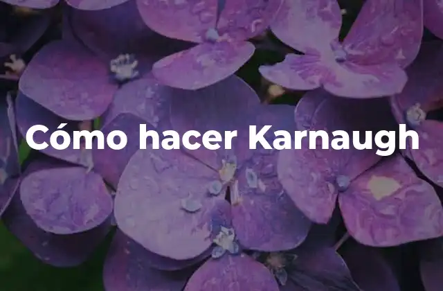 Cómo Hacer Karnaugh
