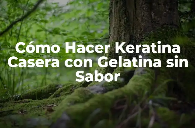 Cómo Hacer Keratina Casera con Gelatina sin Sabor