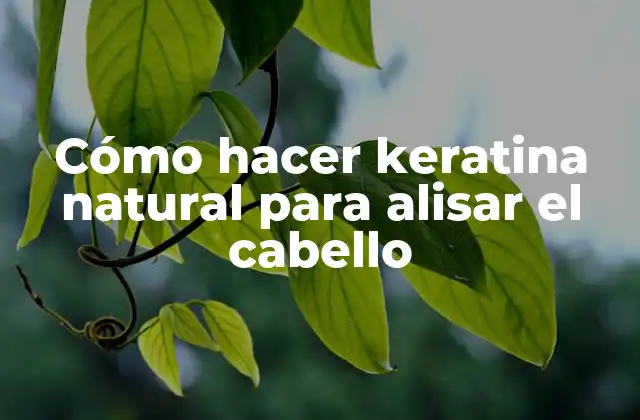 Cómo Hacer Keratina Natural para Alisar el Cabello