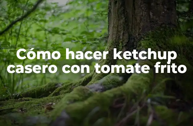 Cómo Hacer Ketchup Casero con Tomate Frito