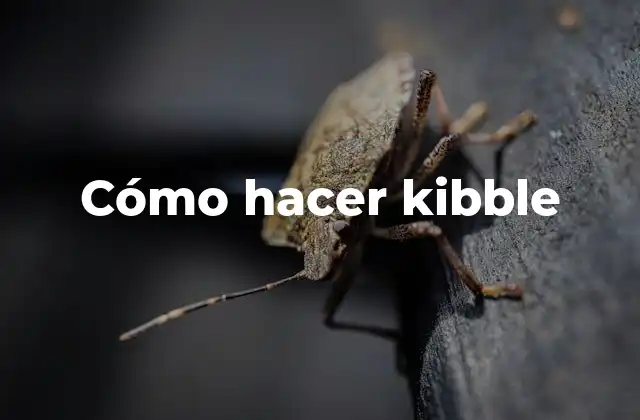 Cómo Hacer Kibble