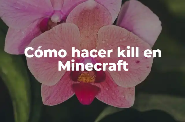 Cómo Hacer Kill en Minecraft