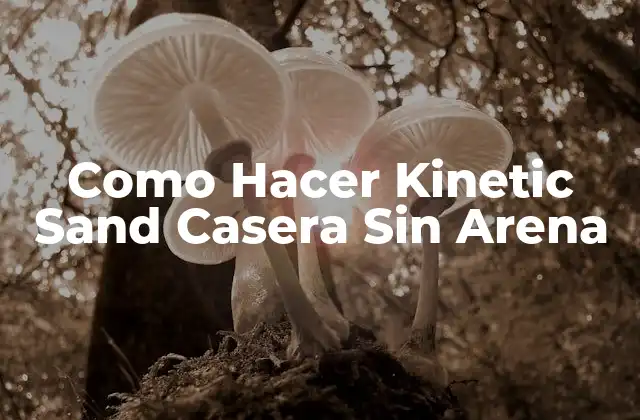 Como Hacer Kinetic Sand Casera sin Arena