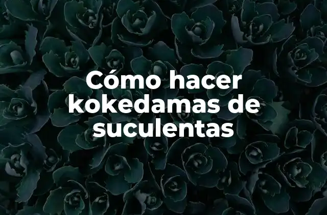 Cómo Hacer Kokedamas de Suculentas