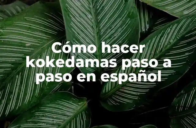 Cómo Hacer Kokedamas Paso a Paso en Español