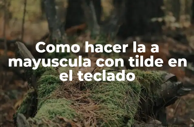 ¿Qué es la a mayuscula con tilde y para qué sirve?