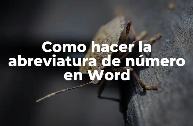 Como Hacer la Abreviatura de Número en Word