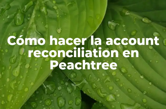 Cómo Hacer la Account Reconciliation en Peachtree